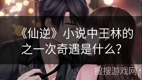 《仙逆》小说中王林的之一次奇遇是什么？