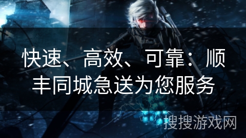 快速、高效、可靠：顺丰同城急送为您服务