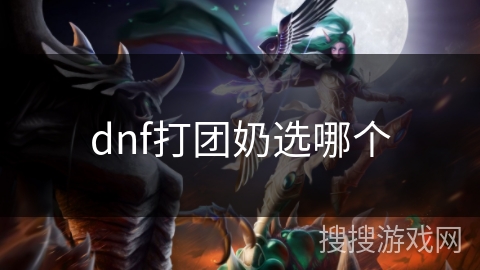 dnf打团奶选哪个