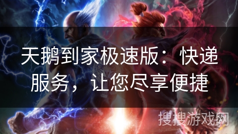 天鹅到家极速版：快递服务，让您尽享便捷