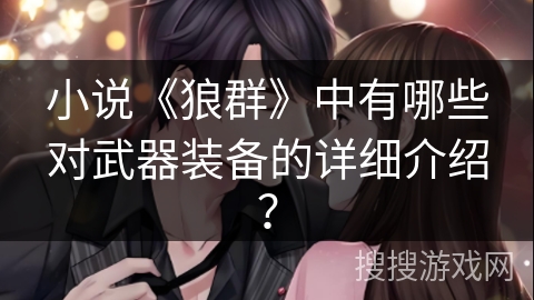 小说《狼群》中有哪些对武器装备的详细介绍？