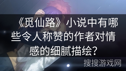 《觅仙路》小说中有哪些令人称赞的作者对情感的细腻描绘？