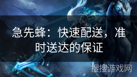 急先蜂：快速配送，准时送达的保证