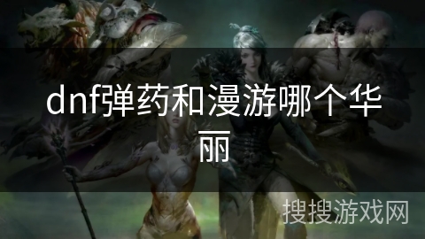 dnf弹药和漫游哪个华丽