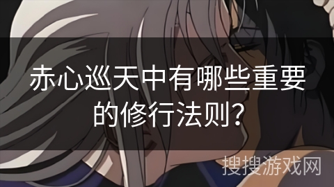 赤心巡天中有哪些重要的修行法则？