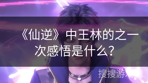 《仙逆》中王林的之一次感悟是什么？