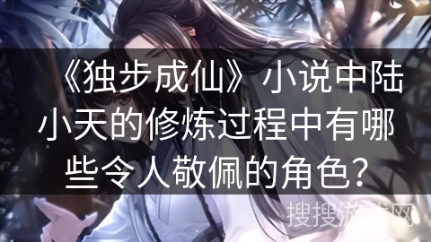 《独步成仙》小说中陆小天的修炼过程中有哪些令人敬佩的角色？