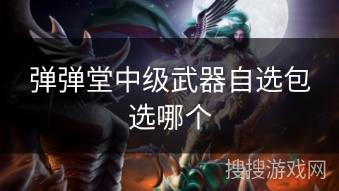 弹弹堂中级武器自选包选哪个