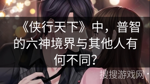 《侠行天下》中，普智的六神境界与其他人有何不同？