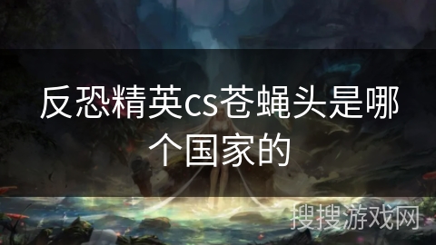 反恐精英cs苍蝇头是哪个国家的