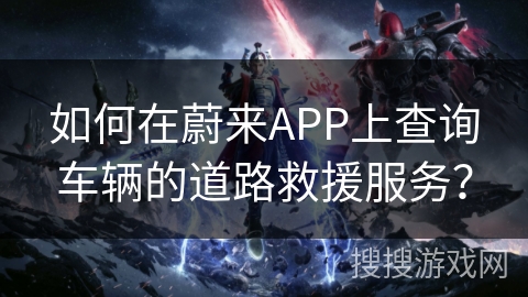 如何在蔚来APP上查询车辆的道路救援服务？