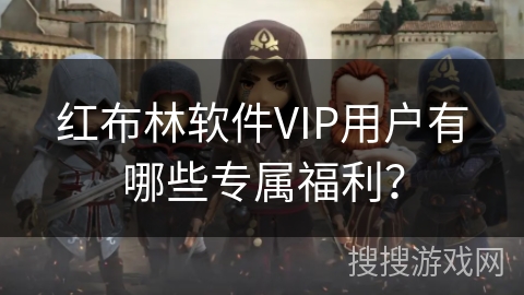 红布林软件VIP用户有哪些专属福利？