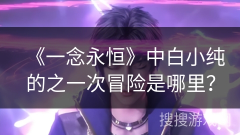 《一念永恒》中白小纯的之一次冒险是哪里？