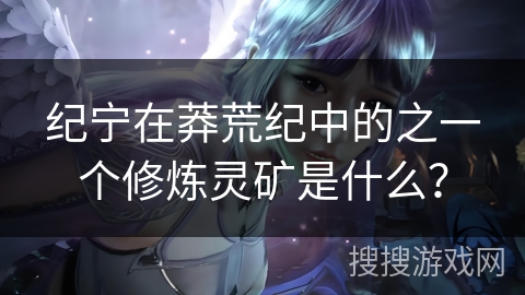 纪宁在莽荒纪中的之一个修炼灵矿是什么？