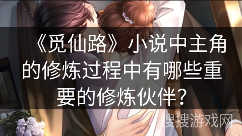 《觅仙路》小说中主角的修炼过程中有哪些重要的修炼伙伴？