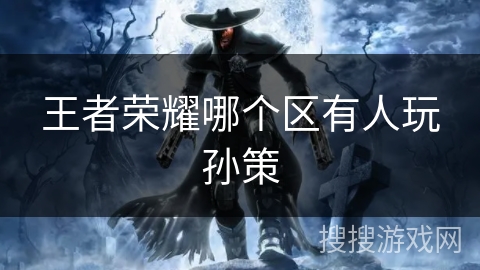 王者荣耀哪个区有人玩孙策