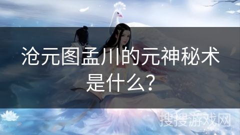 沧元图孟川的元神秘术是什么？