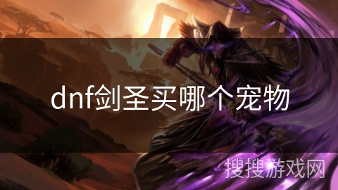 dnf剑圣买哪个宠物