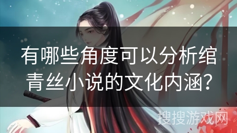 有哪些角度可以分析绾青丝小说的文化内涵？