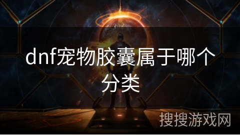 dnf宠物胶囊属于哪个分类