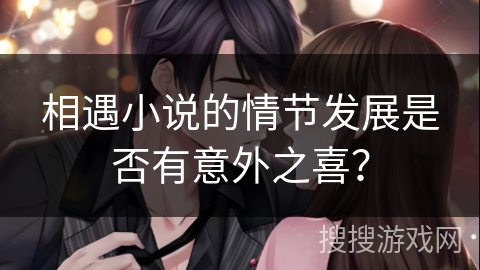 相遇小说的情节发展是否有意外之喜？