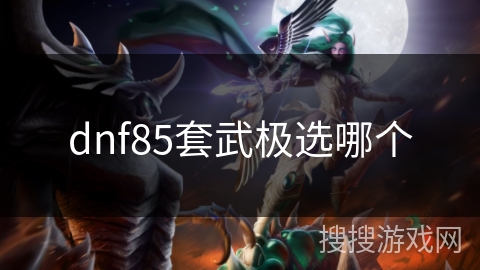dnf85套武极选哪个