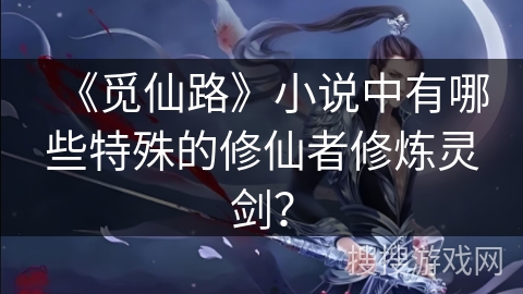 《觅仙路》小说中有哪些特殊的修仙者修炼灵剑？