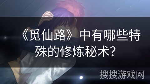 《觅仙路》中有哪些特殊的修炼秘术？