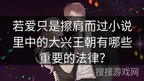 若爱只是擦肩而过小说里中的大兴王朝有哪些重要的法律？