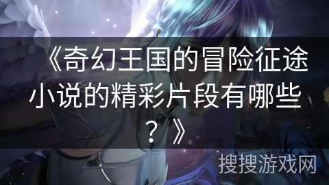 《奇幻王国的冒险征途小说的精彩片段有哪些？》
