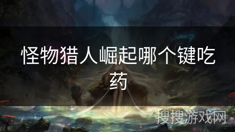 怪物猎人崛起哪个键吃药