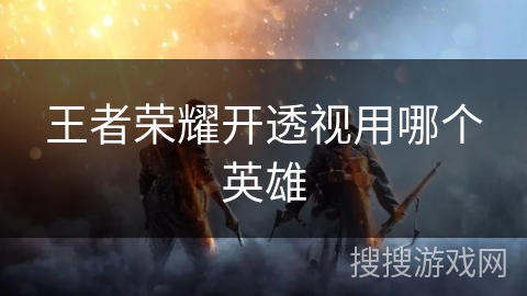 王者荣耀开透视用哪个英雄