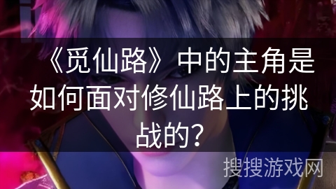 《觅仙路》中的主角是如何面对修仙路上的挑战的？