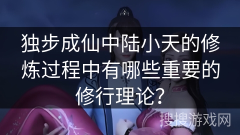 独步成仙中陆小天的修炼过程中有哪些重要的修行理论？