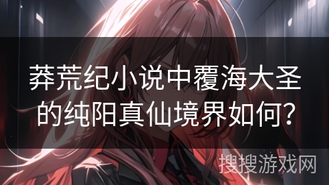 莽荒纪小说中覆海大圣的纯阳真仙境界如何？