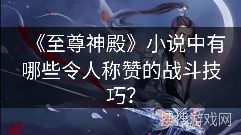 《至尊神殿》小说中有哪些令人称赞的战斗技巧？