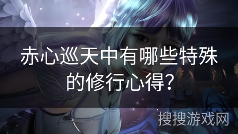 赤心巡天中有哪些特殊的修行心得？