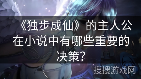 《独步成仙》的主人公在小说中有哪些重要的决策？