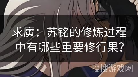 求魔：苏铭的修炼过程中有哪些重要修行果？