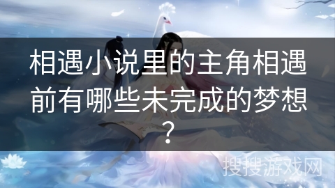 相遇小说里的主角相遇前有哪些未完成的梦想？