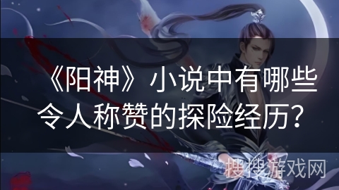 《阳神》小说中有哪些令人称赞的探险经历？