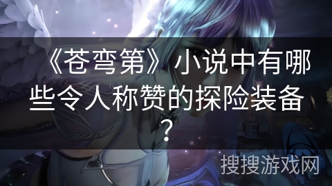 《苍弯第》小说中有哪些令人称赞的探险装备？
