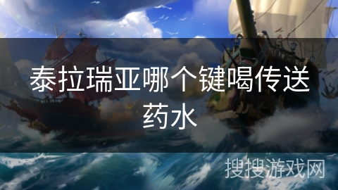 泰拉瑞亚哪个键喝传送药水