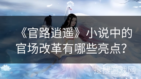 《官路逍遥》小说中的官场改革有哪些亮点？