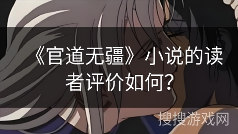 《官道无疆》小说的读者评价如何？