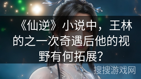 《仙逆》小说中，王林的之一次奇遇后他的视野有何拓展？