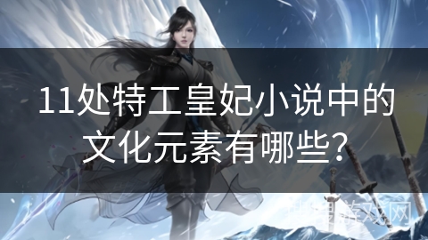 11处特工皇妃小说中的文化元素有哪些？