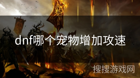 dnf哪个宠物增加攻速