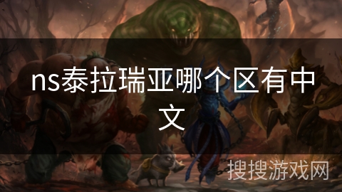 ns泰拉瑞亚哪个区有中文