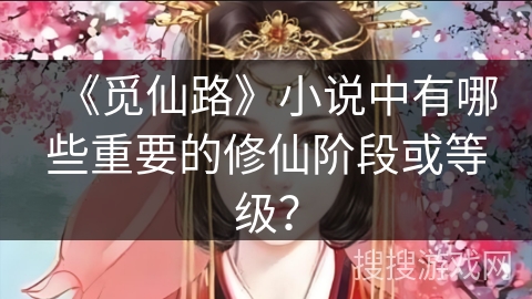 《觅仙路》小说中有哪些重要的修仙阶段或等级？